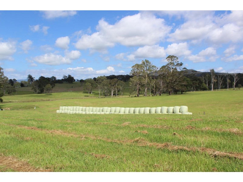 Lot 2 Jersey Place, Cobargo NSW 2550