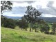 Lot 195 “Spanish Oaks” Kerrisons Lane, Bega NSW 2550