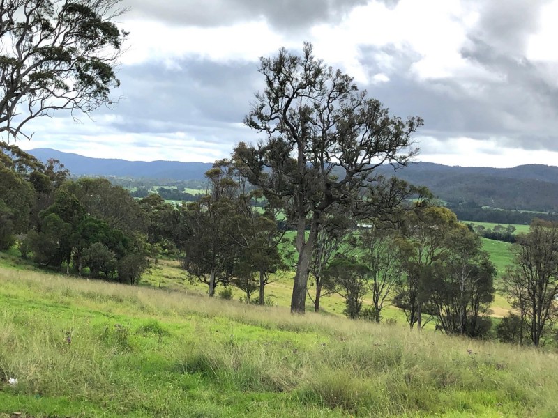 Lot 195 “Spanish Oaks” Kerrisons Lane, Bega NSW 2550