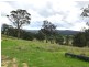 Lot 195 “Spanish Oaks” Kerrisons Lane, Bega NSW 2550