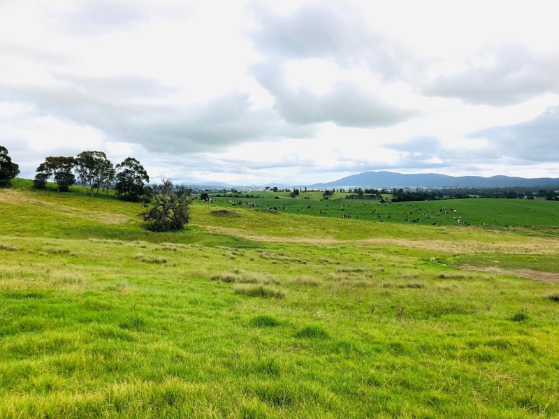 Lot 205 Barrumbarra Place, Bega NSW 2550