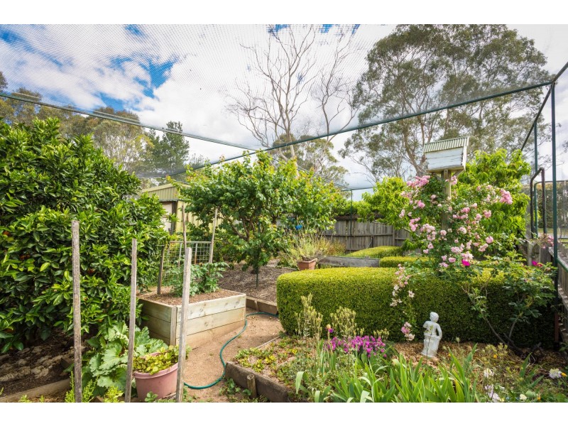 120 Peak Hill Road, Bega NSW 2550