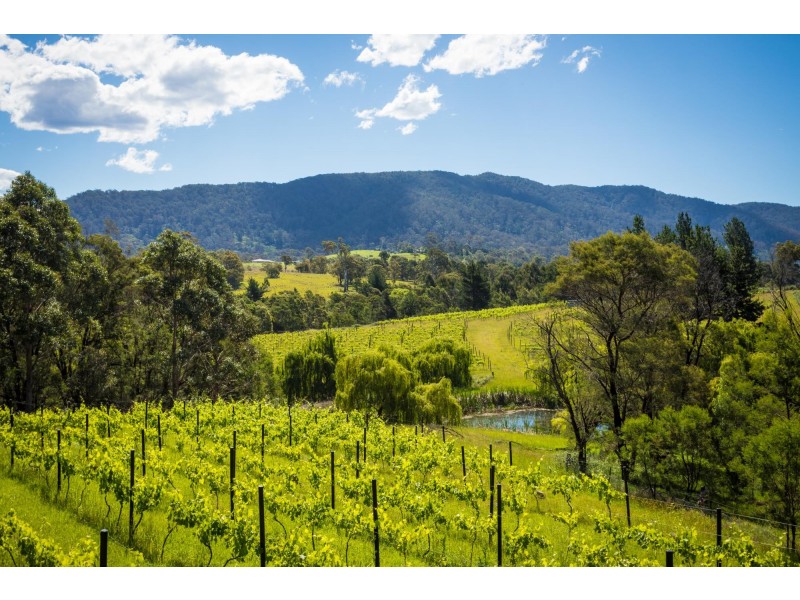 46 Terlich Road, Verona NSW 2550