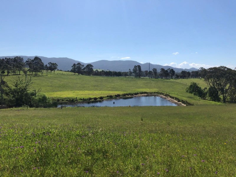 10972 Princes Hwy, Cobargo NSW 2550