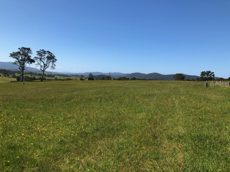 10972 Princes Hwy, Cobargo NSW 2550