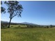 10972 Princes Hwy, Cobargo NSW 2550