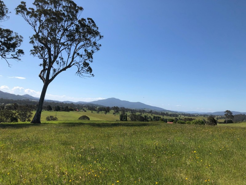 10972 Princes Hwy, Cobargo NSW 2550