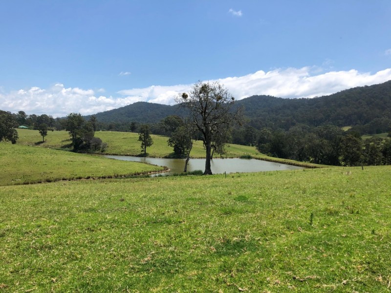 10280 Princes Highway, Cobargo NSW 2550