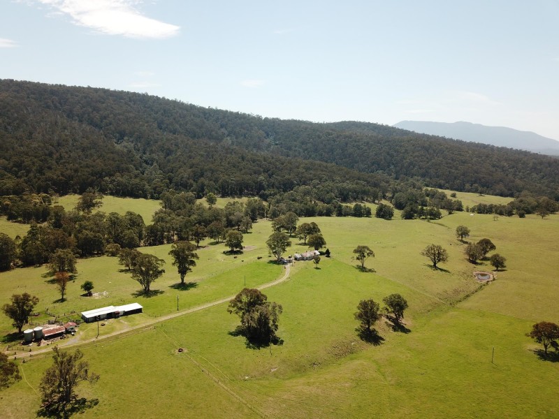 10280 Princes Highway, Cobargo NSW 2550