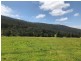 10280 Princes Highway, Cobargo NSW 2550