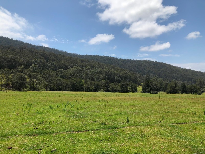 10280 Princes Highway, Cobargo NSW 2550