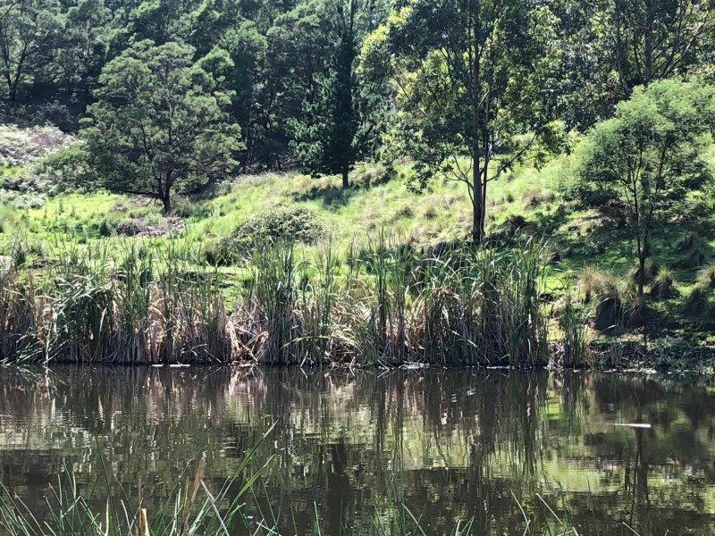 49 Quinlans Road, Quaama NSW 2550