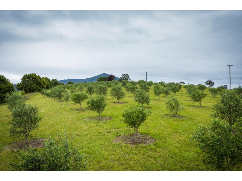 301 Gilberts Road, Quaama NSW 2550