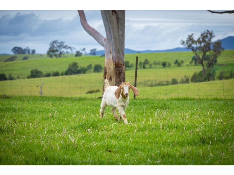 301 Gilberts Road, Quaama NSW 2550