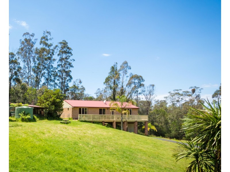 237 Reedy Swamp Road, Tarraganda NSW 2550