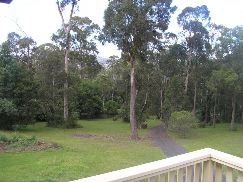 237 Reedy Swamp Road, Tarraganda NSW 2550