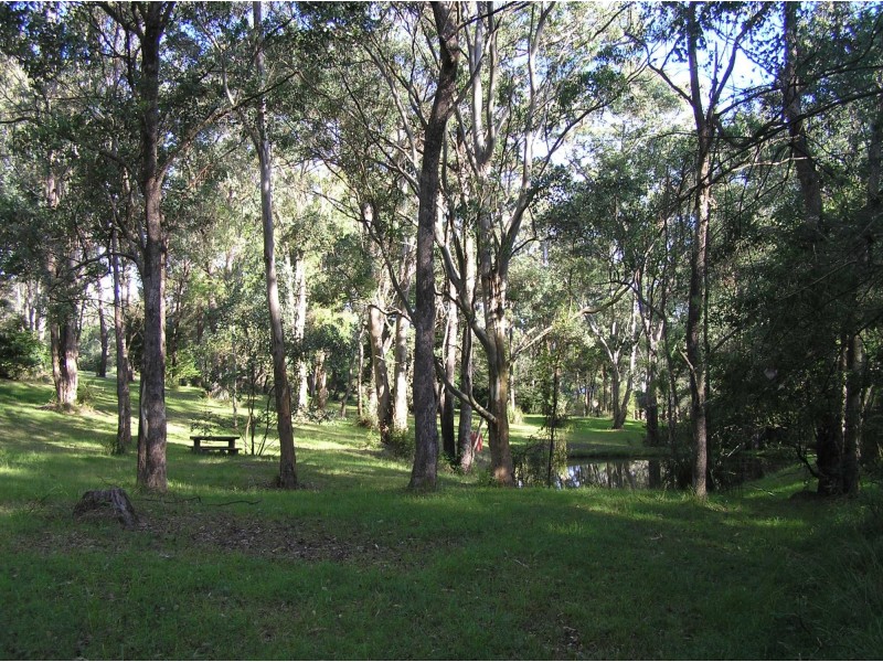 237 Reedy Swamp Road, Tarraganda NSW 2550