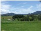 603 Upper Brogo Road, Verona NSW 2550