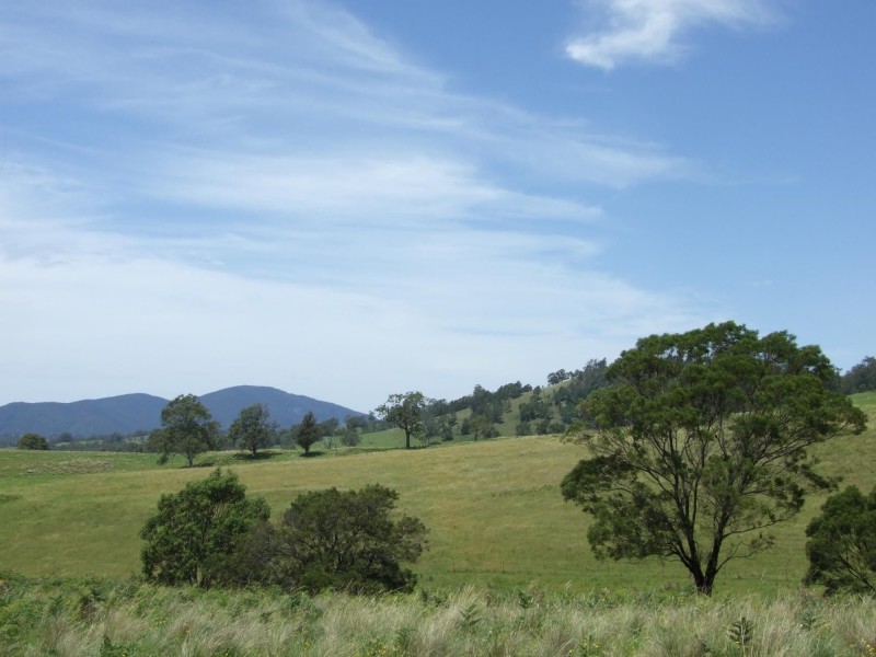 603 Upper Brogo Road, Verona NSW 2550
