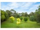 125 Kerrisons Lane, Bega NSW 2550