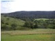 90 McGregors Road, Angledale NSW 2550