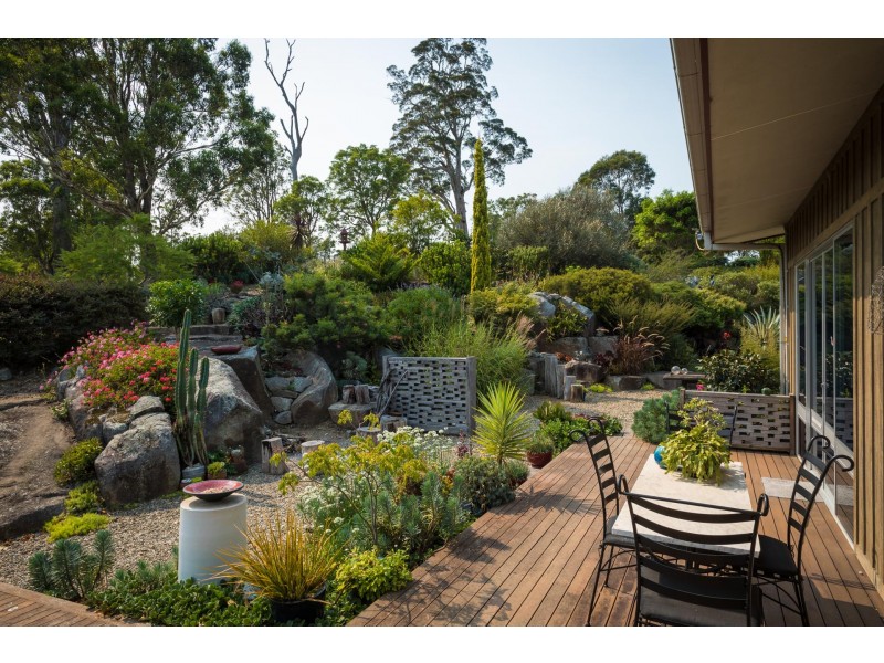 103 Hore Laceys Road, Brogo NSW 2550