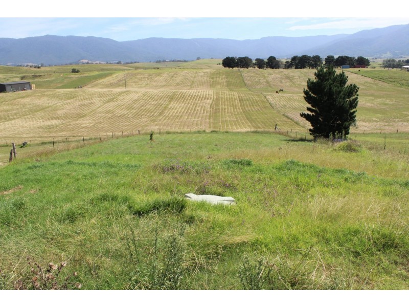 53 Parkes Street, Bemboka NSW 2550