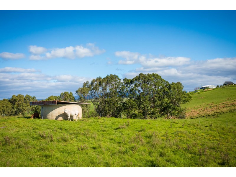 621 Candelo Bega Road, Bega NSW 2550