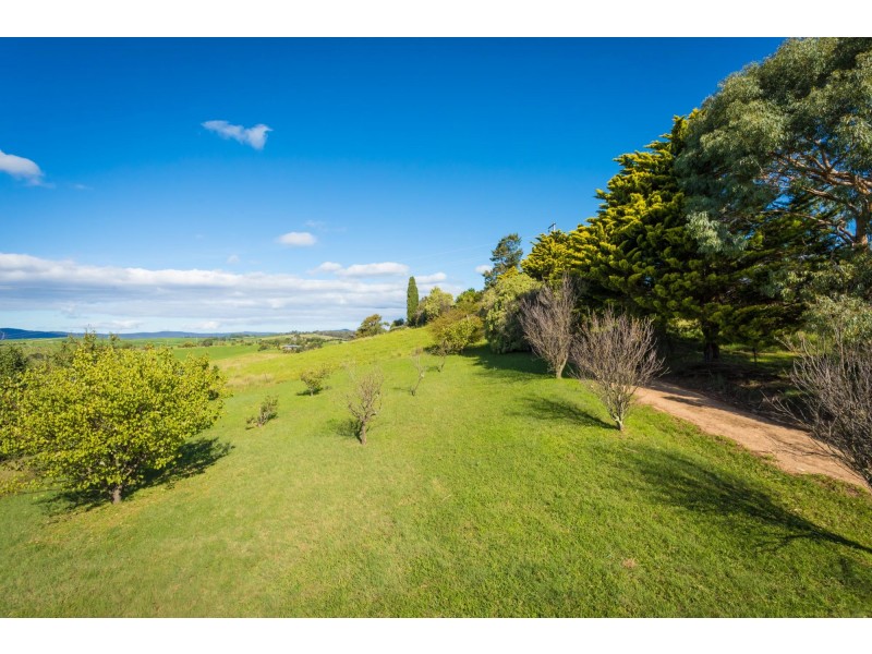 621 Candelo Bega Road, Bega NSW 2550