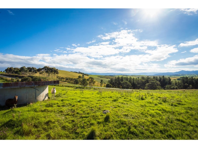 621 Candelo Bega Road, Bega NSW 2550