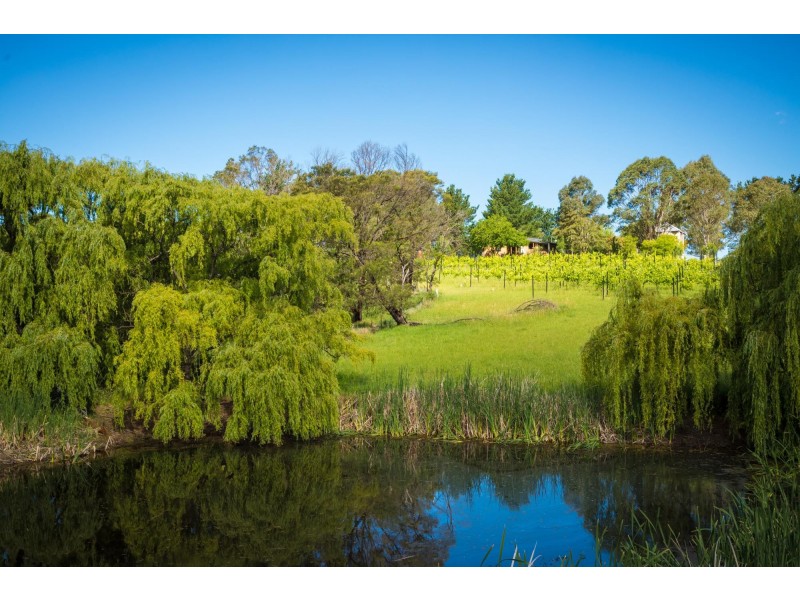 46 Terlichs Road, Verona NSW 2550