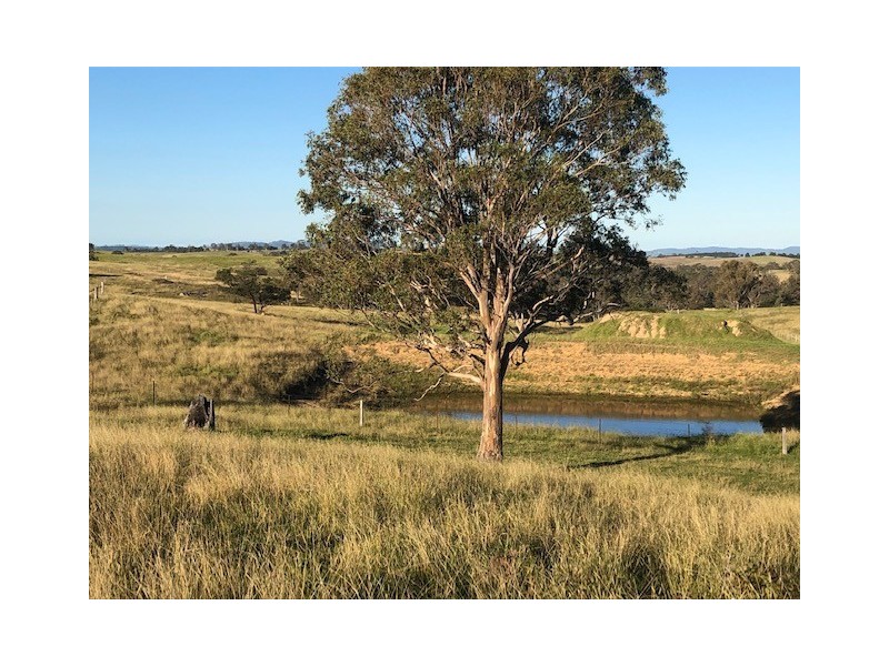 Lot 11 Sams Corner Road, Bemboka NSW 2550