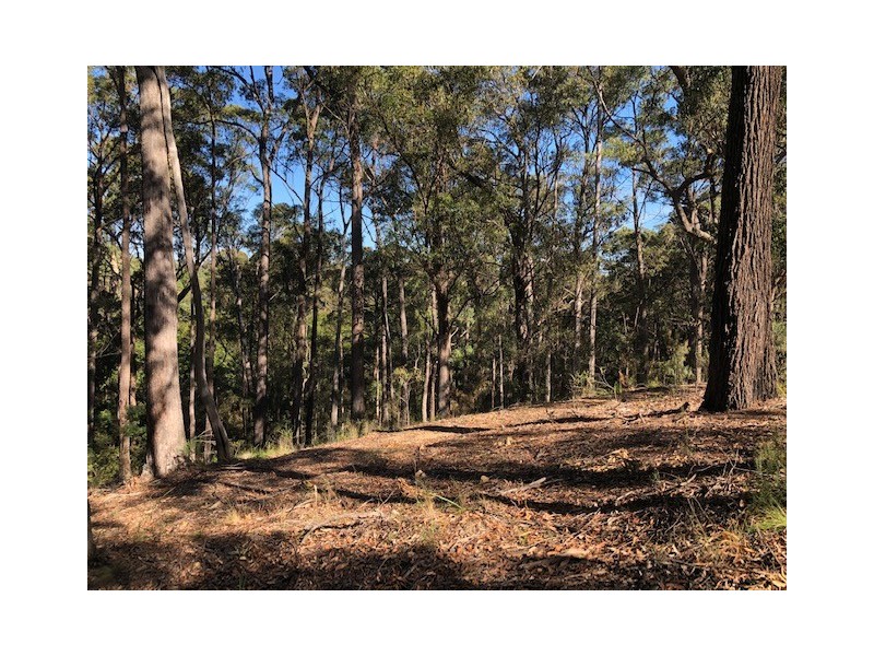 Lot 10 Rilys Road, Bermagui NSW 2546