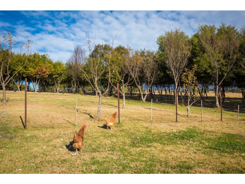 46 Billaroy Road, Cobargo NSW 2550