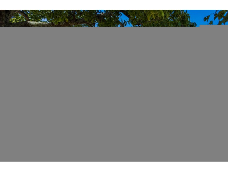 42 Auckland Street, Candelo NSW 2550