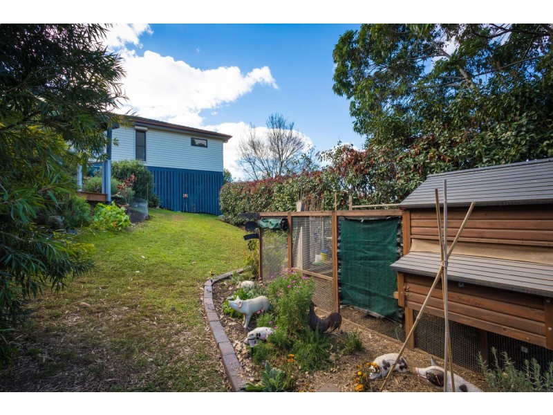 42 Auckland Street, Candelo NSW 2550