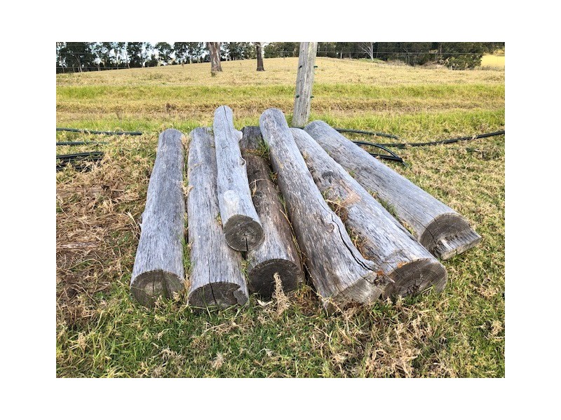 10280 Princes Highway, Cobargo NSW 2550