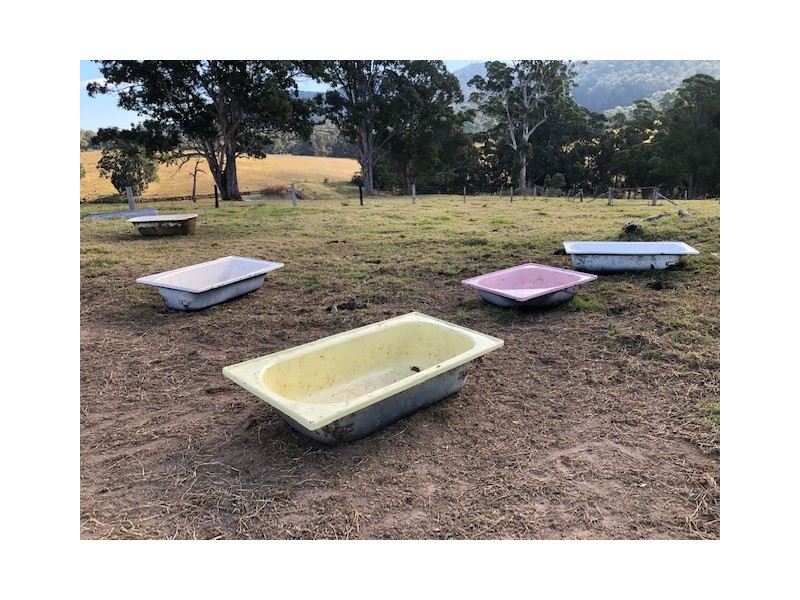 10280 Princes Highway, Cobargo NSW 2550