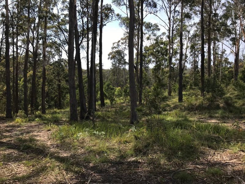 72 Old Wallagoot Road, Kalaru NSW 2550