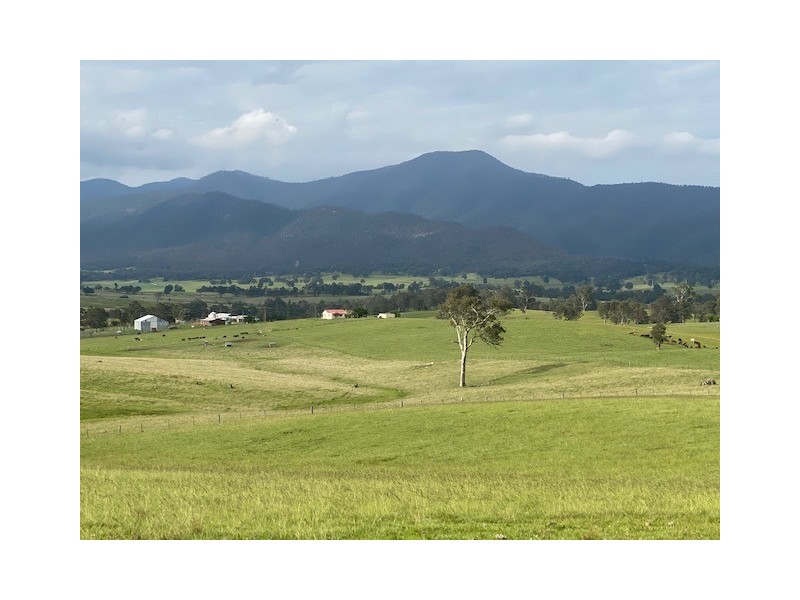 2603 Snowy Mountains Highway, Bemboka NSW 2550