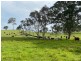 2603 Snowy Mountains Highway, Bemboka NSW 2550