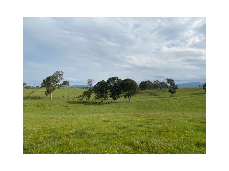 2603 Snowy Mountains Highway, Bemboka NSW 2550
