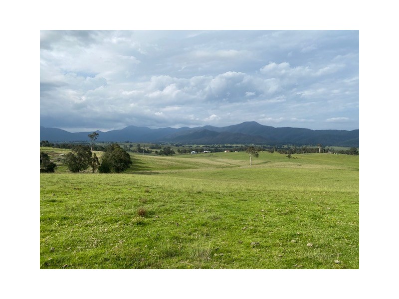 2603 Snowy Mountains Highway, Bemboka NSW 2550