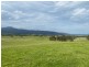 2603 Snowy Mountains Highway, Bemboka NSW 2550