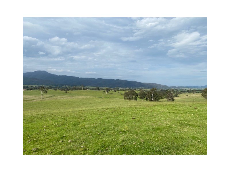 2603 Snowy Mountains Highway, Bemboka NSW 2550