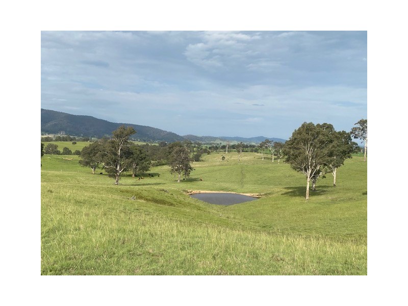 2603 Snowy Mountains Highway, Bemboka NSW 2550