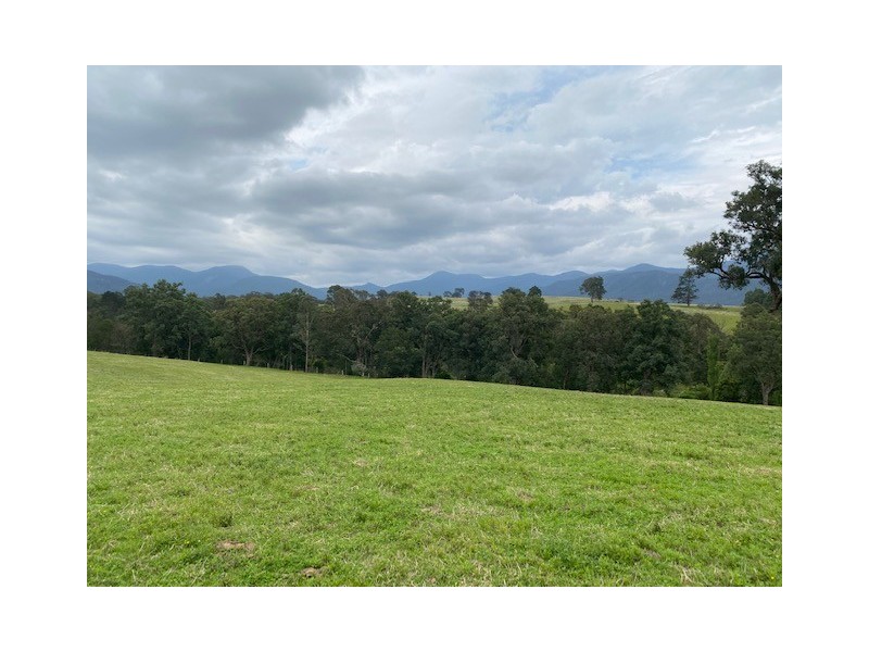 2603 Snowy Mountains Highway, Bemboka NSW 2550