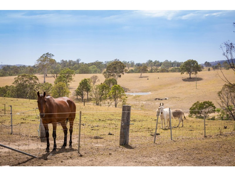123 Dummett Jessops Road, Verona NSW 2550