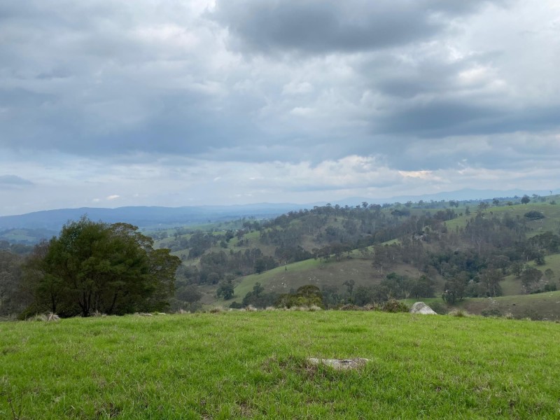 Lot 611 Peak Hill Road, Buckajo NSW 2550