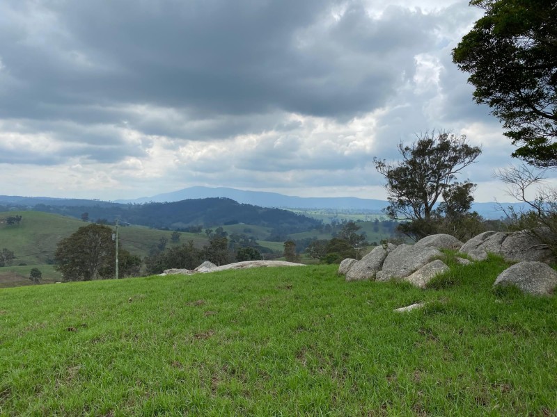 Lot 611 Peak Hill Road, Buckajo NSW 2550
